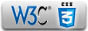 CSS3