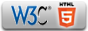 HTML5